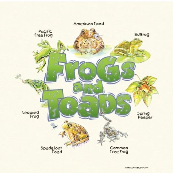 Youth Uni-Sex Frogs & Toads Cotton T-Shirts Size Small (6-8) - Picture 6 of 10